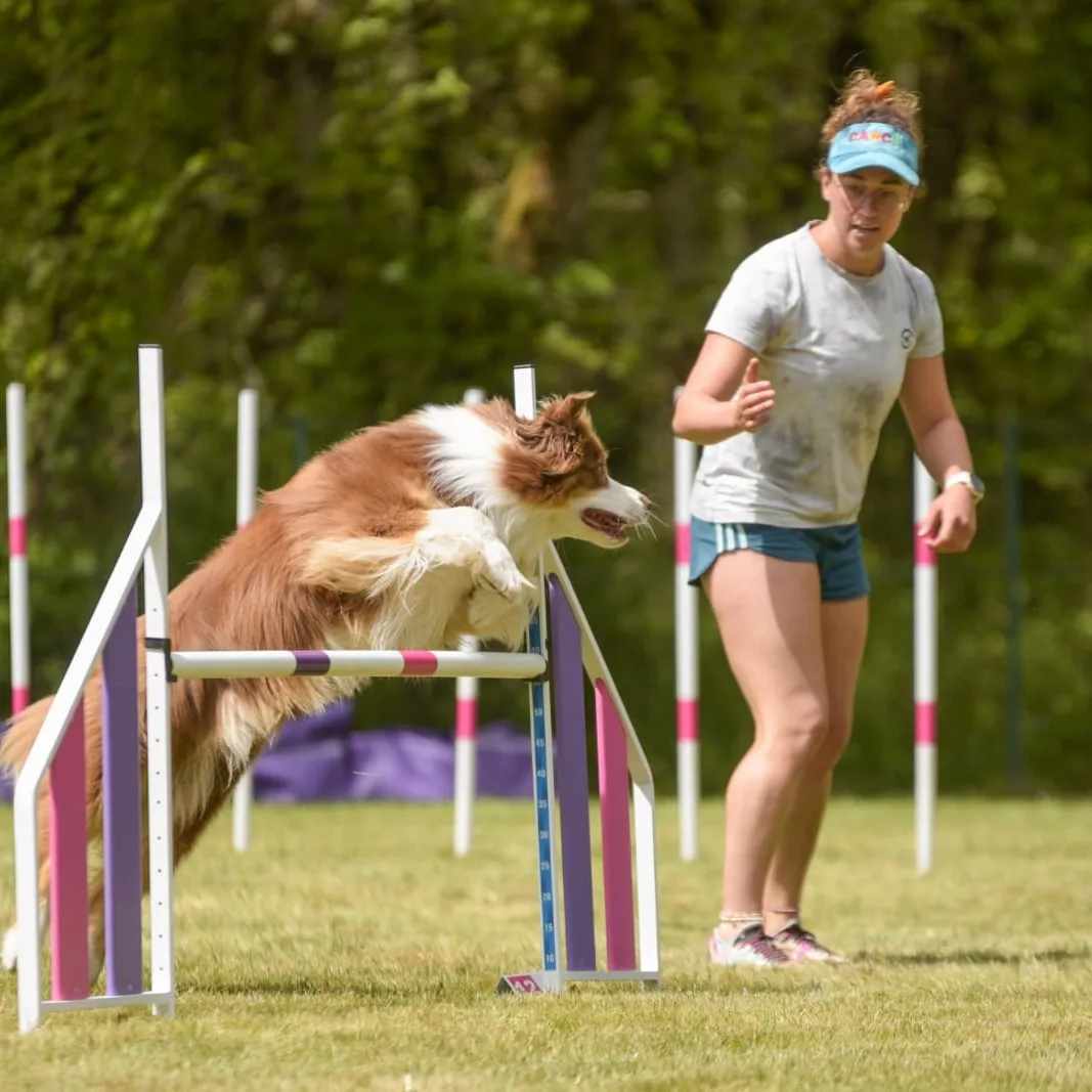 L’attribut alt de cette image est vide, son nom de fichier est 381204692_1766322597156863_8045957736374123491_n.jpg.